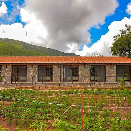 Hotel Dedehan Retreat Cedit